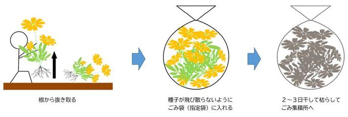 イラスト:駆除方法の様子